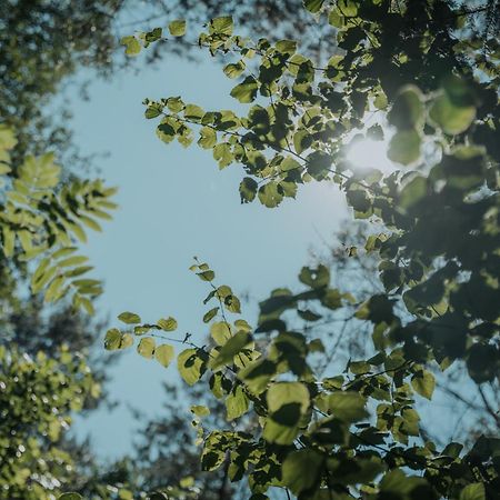 Forest Cabin - 50Min Od Warszawy Wola Polska 外观 照片
