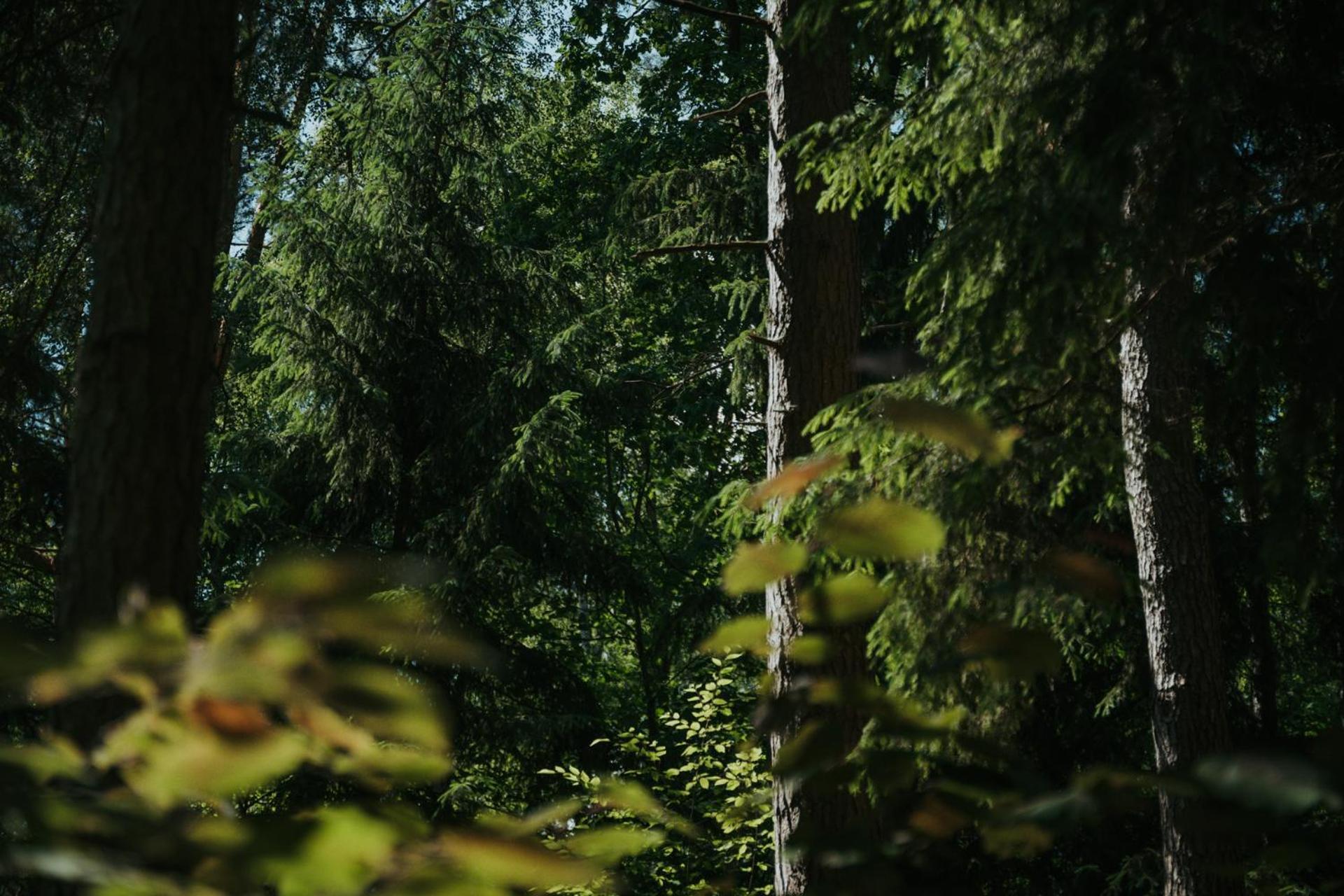 Forest Cabin - 50Min Od Warszawy Wola Polska 外观 照片