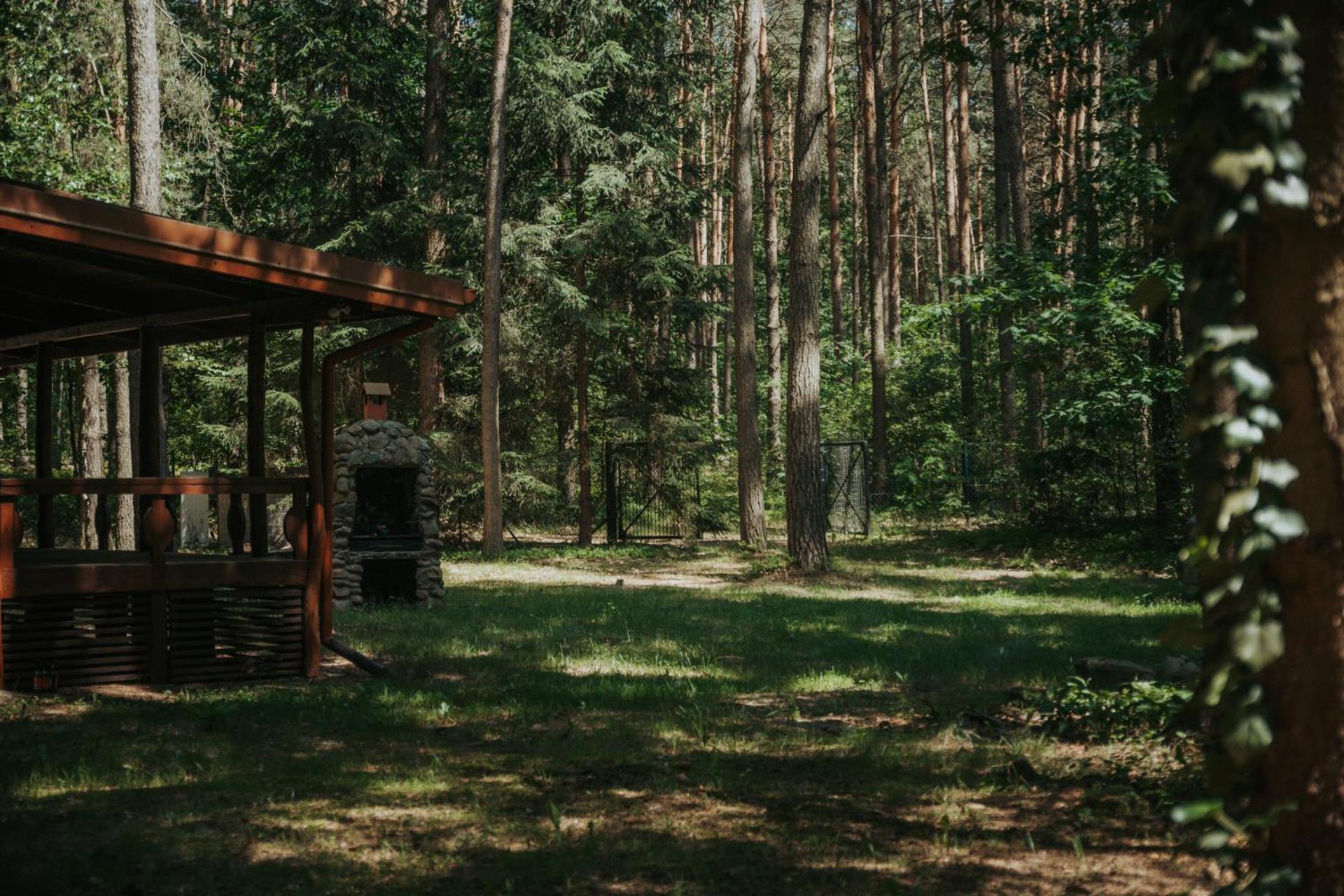 Forest Cabin - 50Min Od Warszawy Wola Polska 外观 照片
