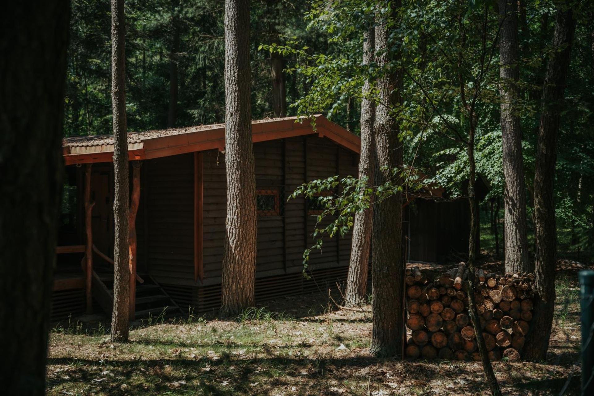 Forest Cabin - 50Min Od Warszawy Wola Polska 外观 照片