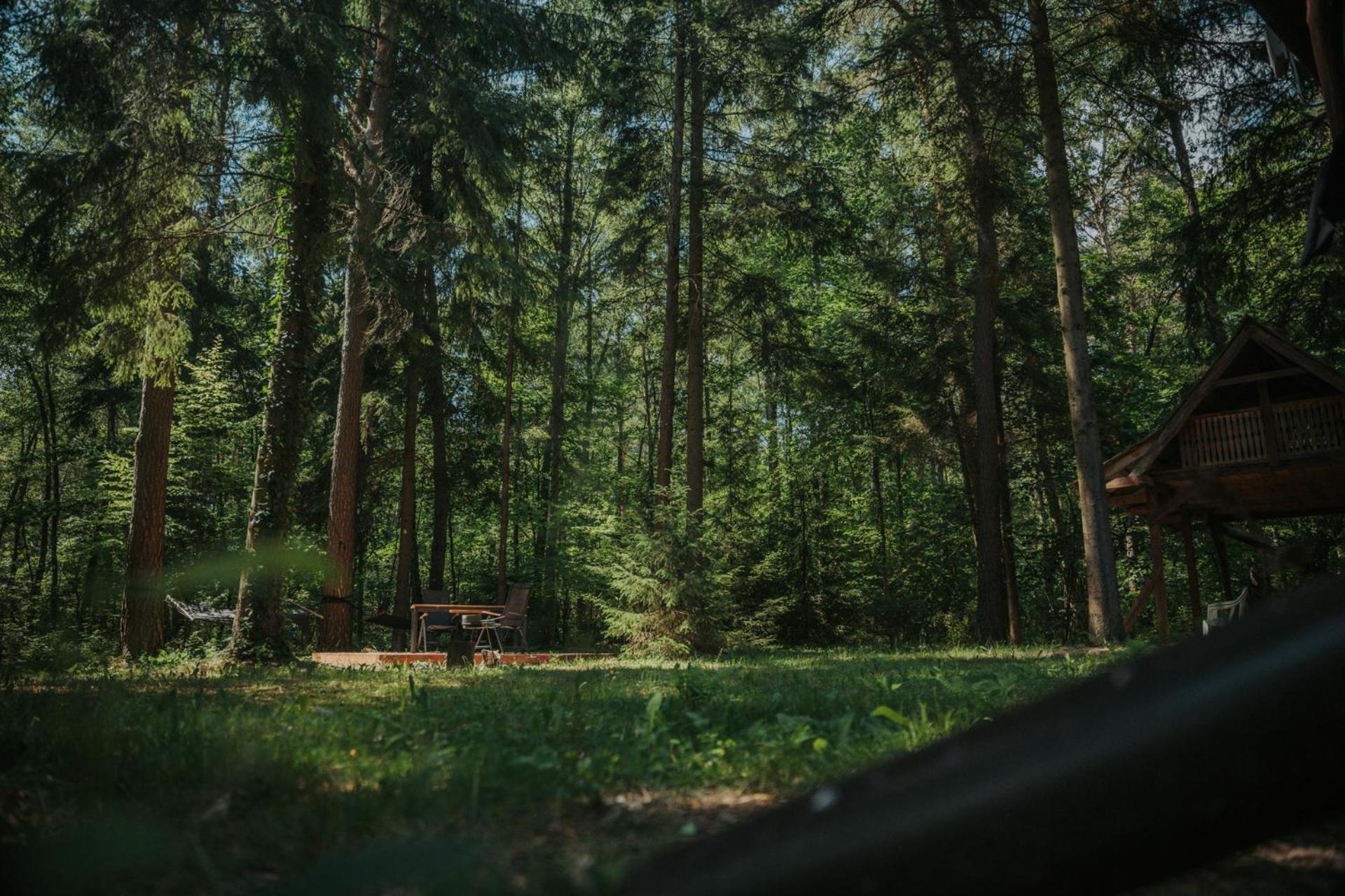 Forest Cabin - 50Min Od Warszawy Wola Polska 外观 照片
