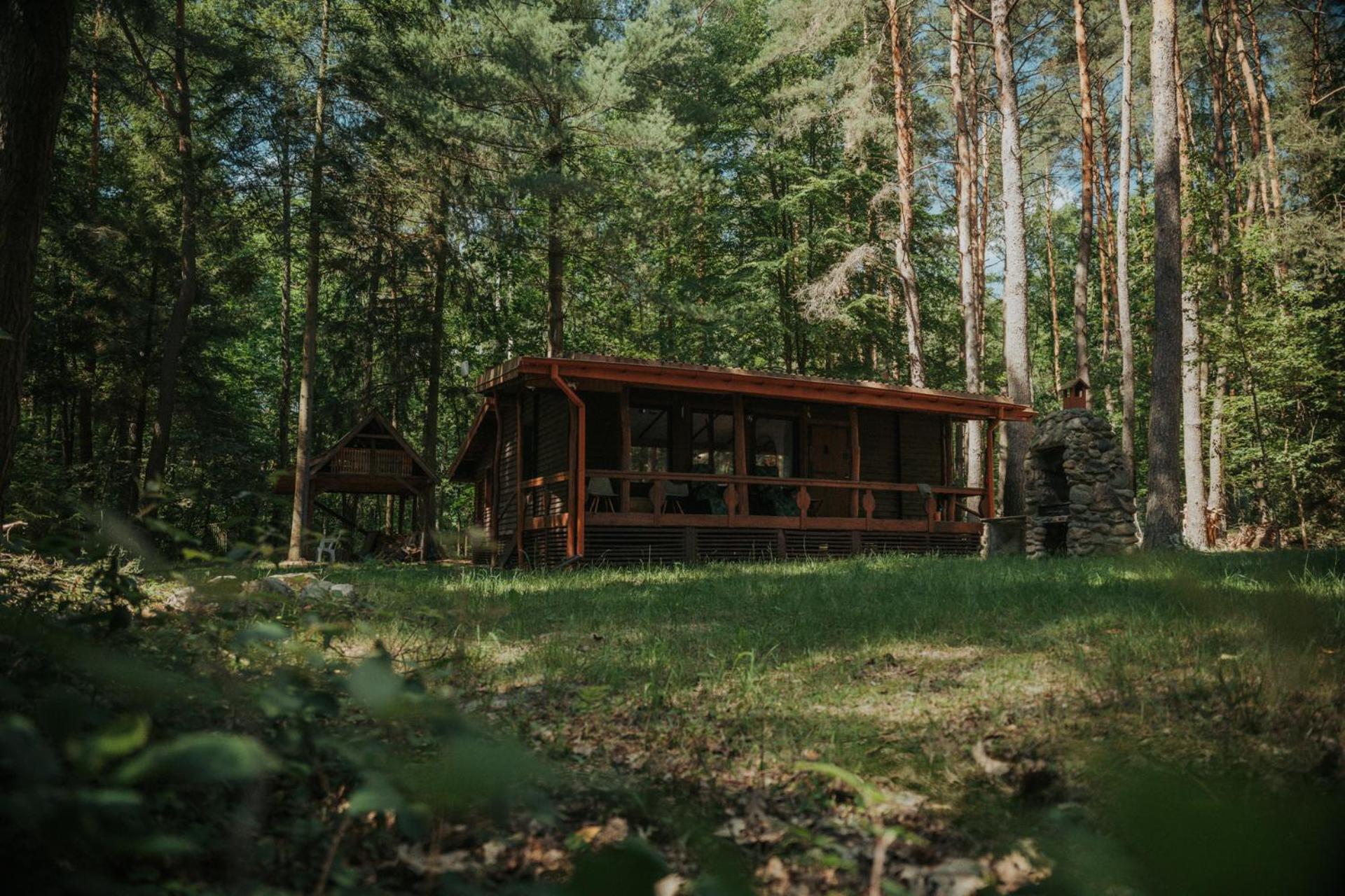 Forest Cabin - 50Min Od Warszawy Wola Polska 外观 照片