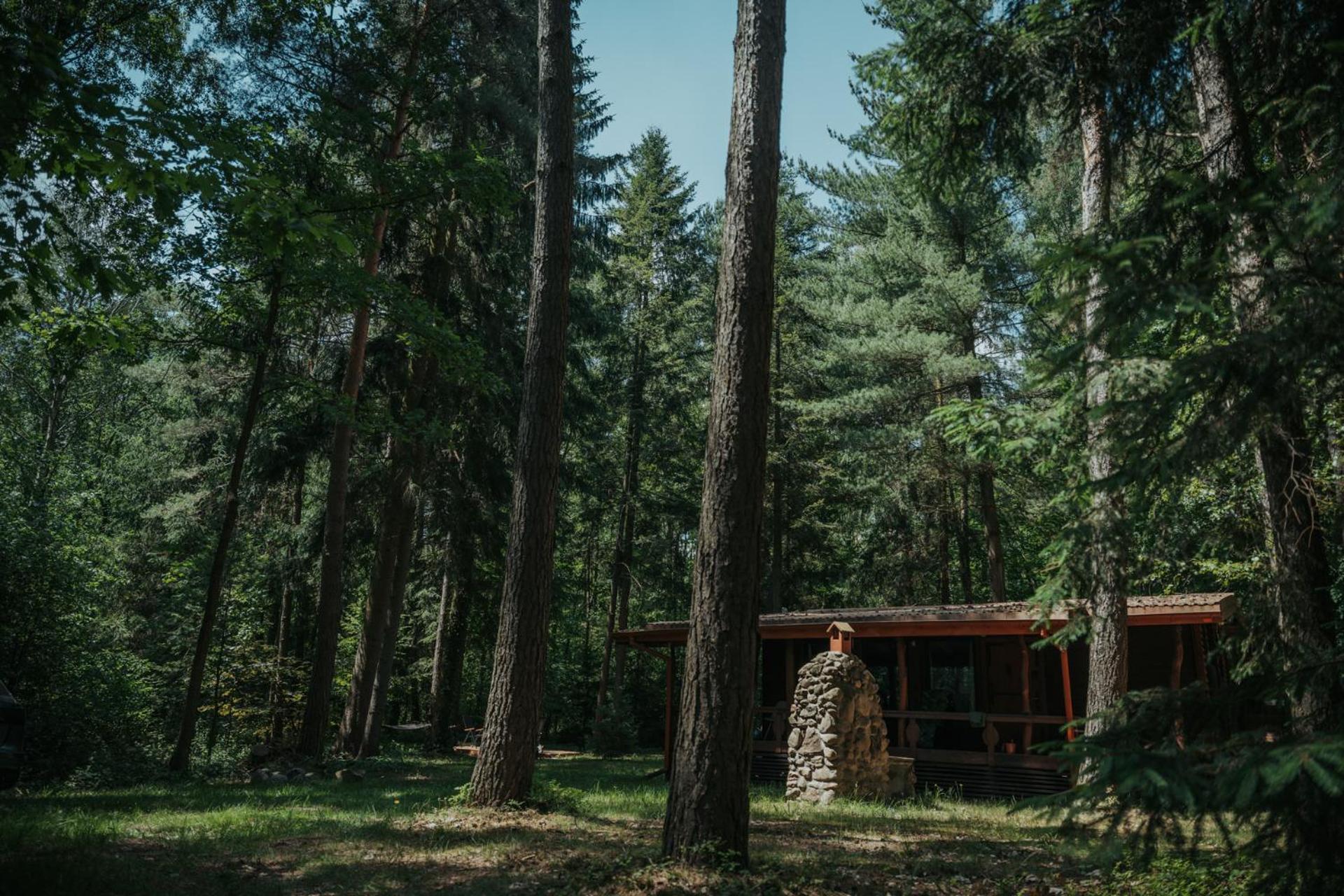Forest Cabin - 50Min Od Warszawy Wola Polska 外观 照片