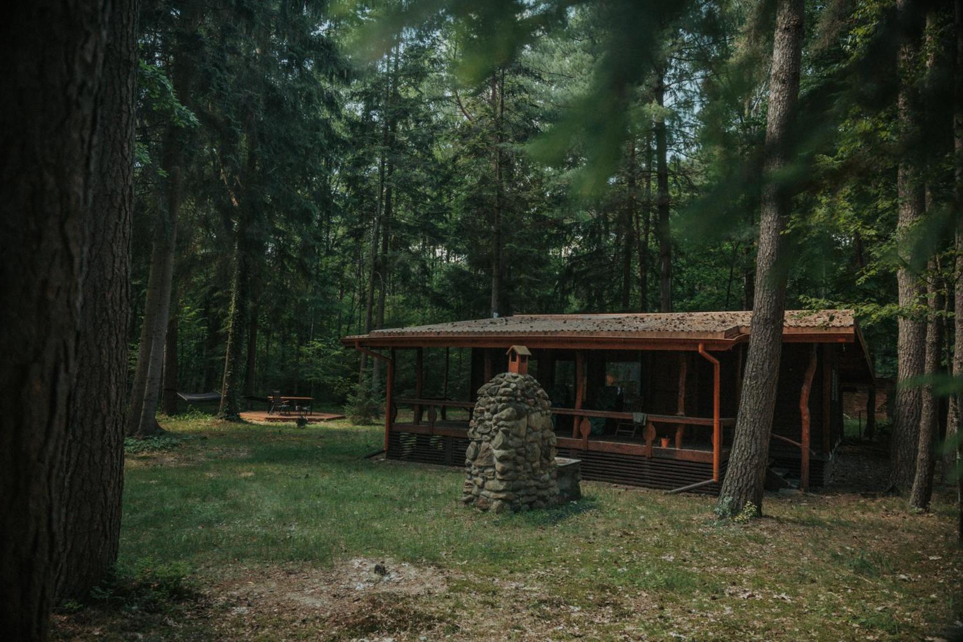 Forest Cabin - 50Min Od Warszawy Wola Polska 外观 照片