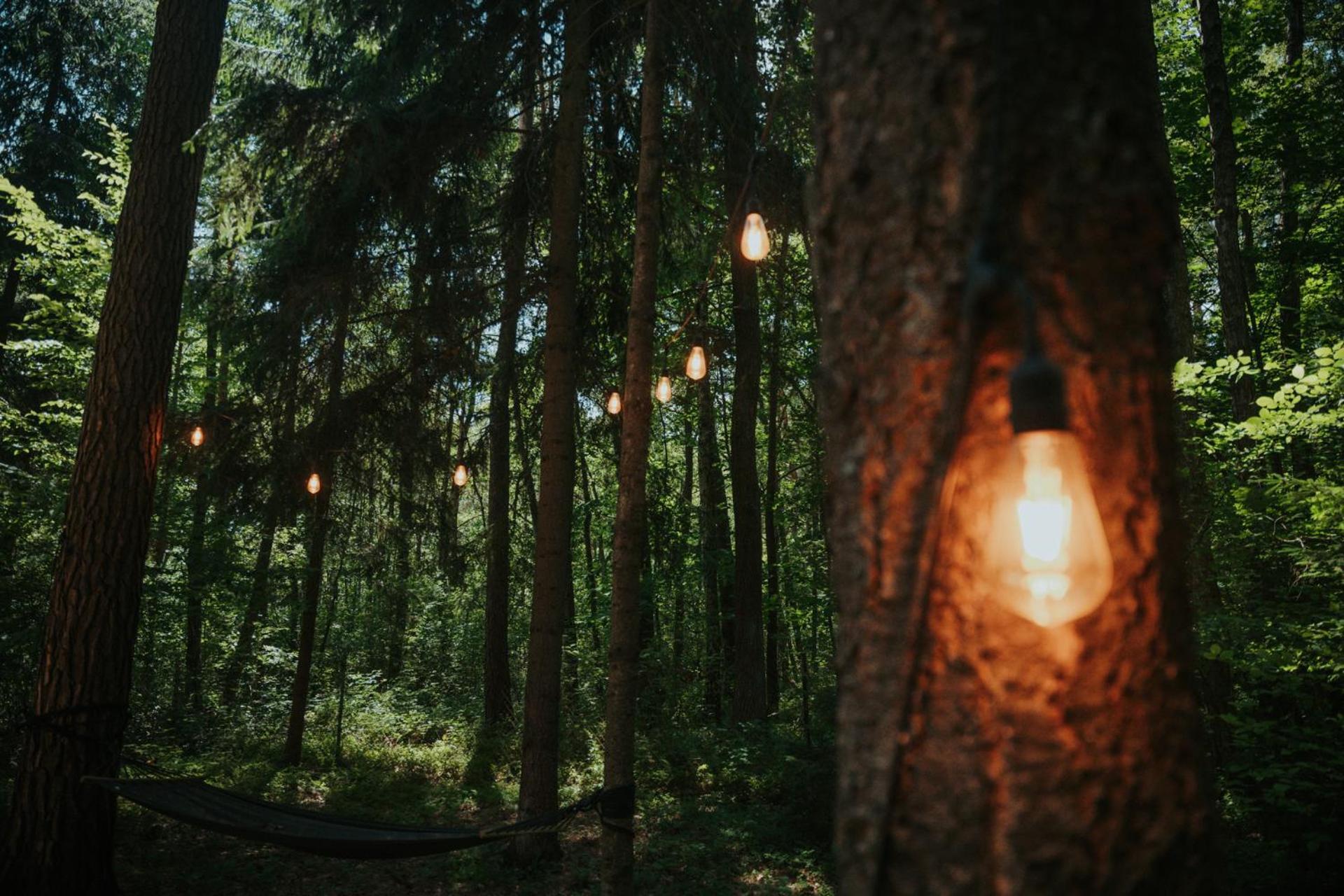 Forest Cabin - 50Min Od Warszawy Wola Polska 外观 照片