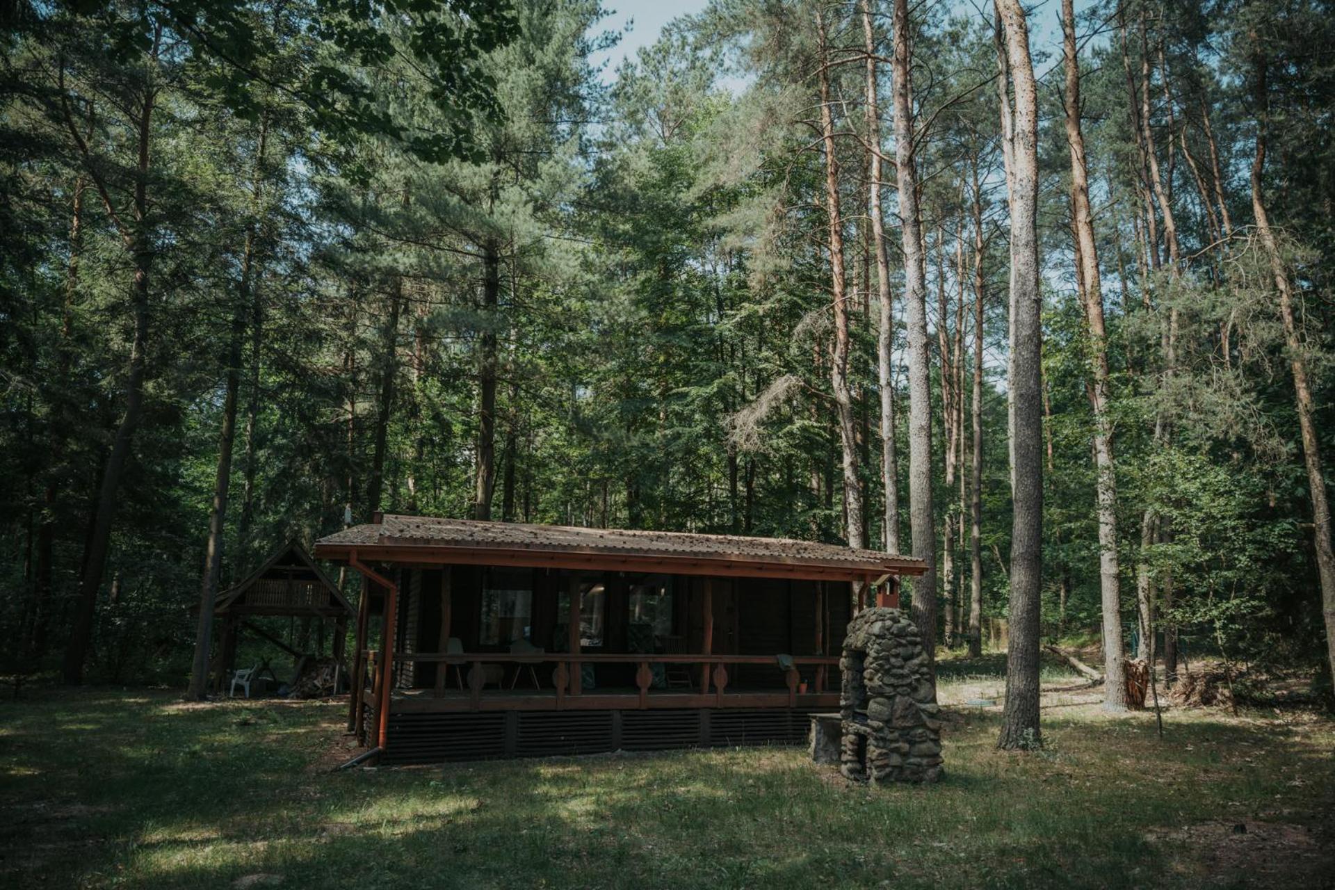 Forest Cabin - 50Min Od Warszawy Wola Polska 外观 照片