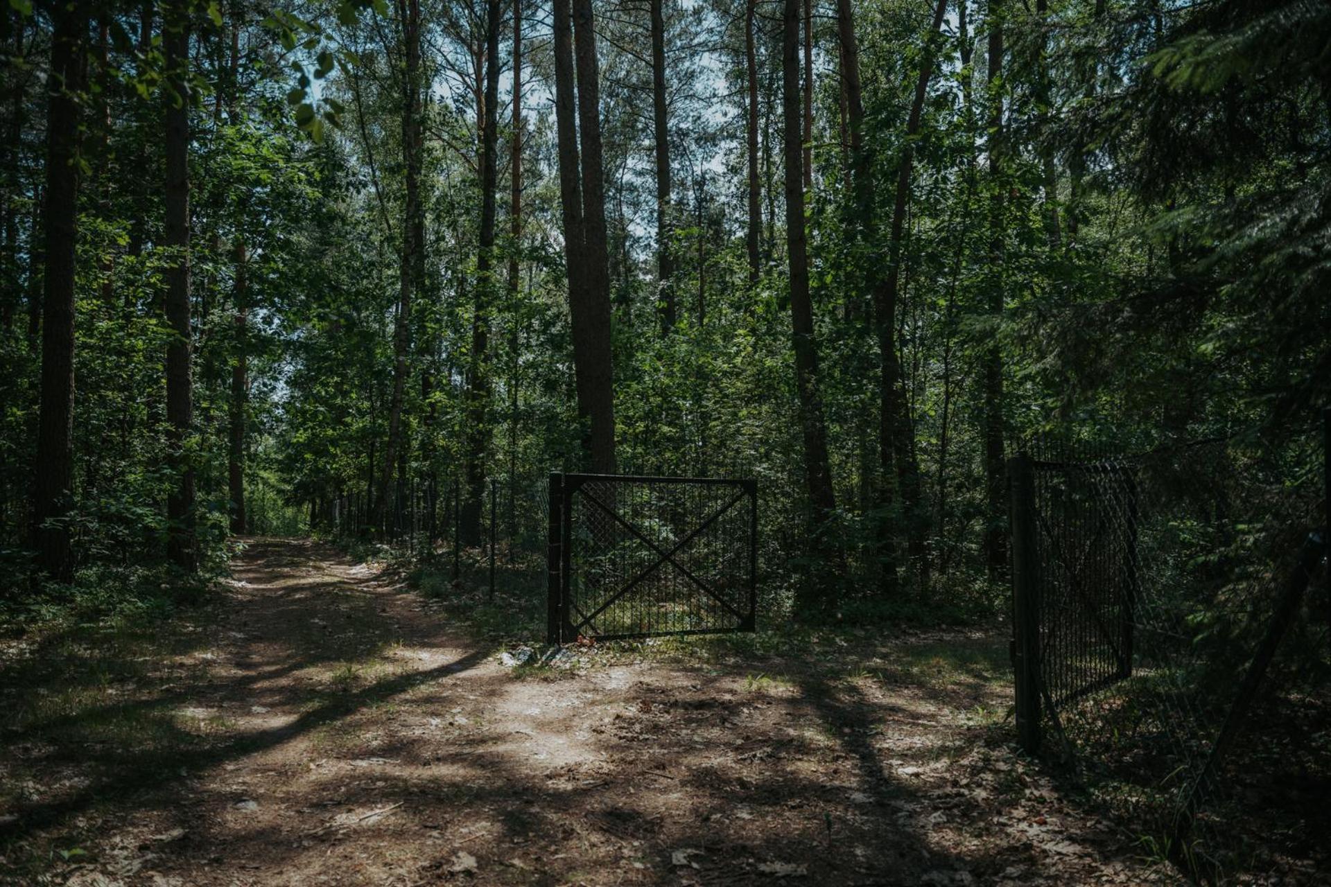 Forest Cabin - 50Min Od Warszawy Wola Polska 外观 照片